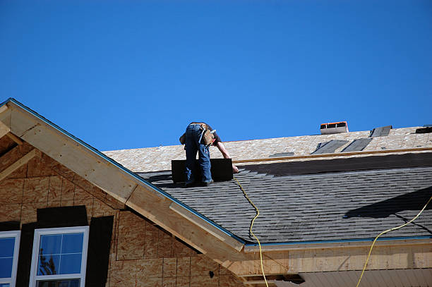 Professional Roofing Contractor in Webb City, MO
