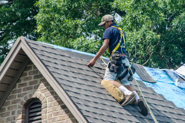Roof Repair Estimates in Webb City, MO